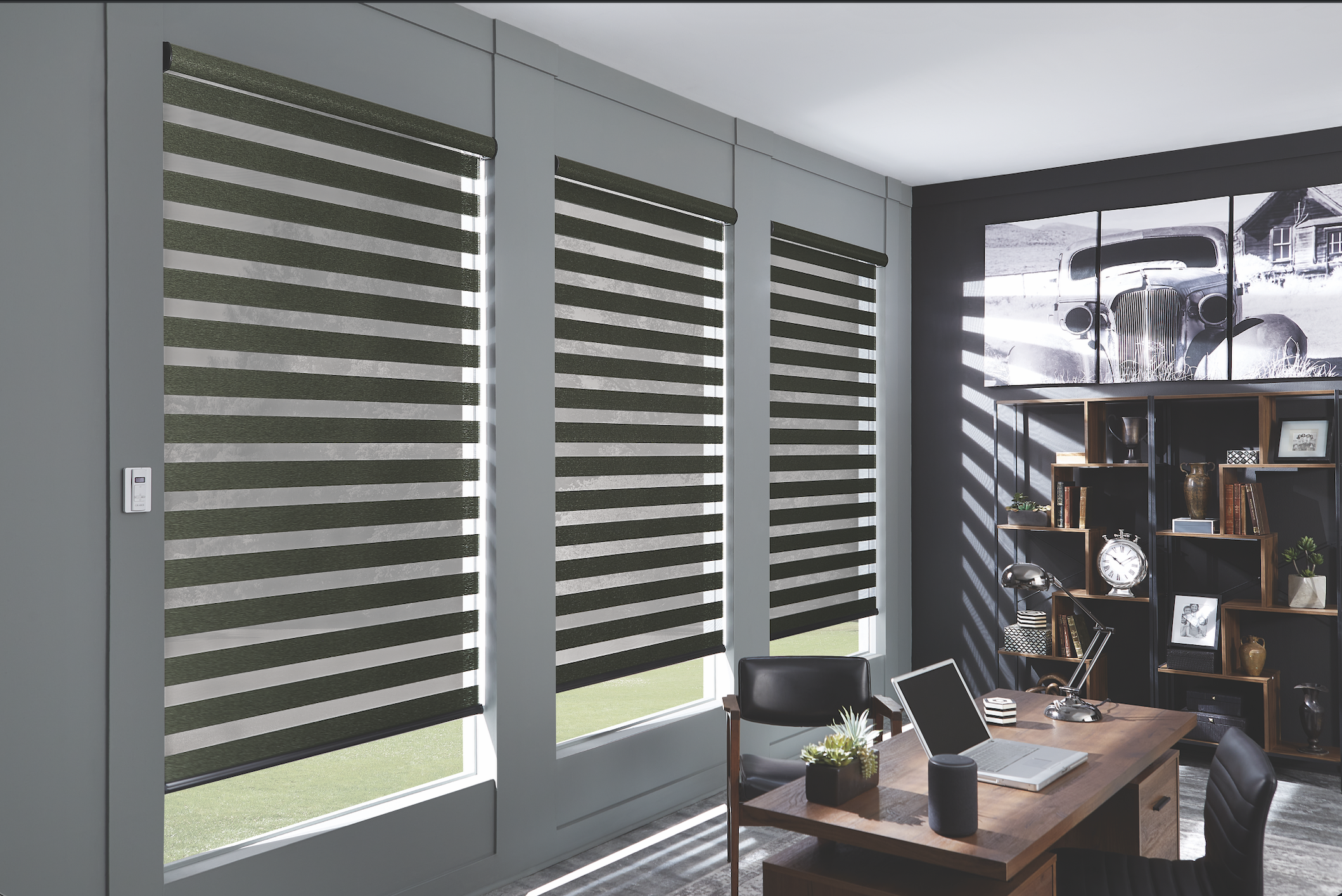 Dark green layered zebra shades in an office
