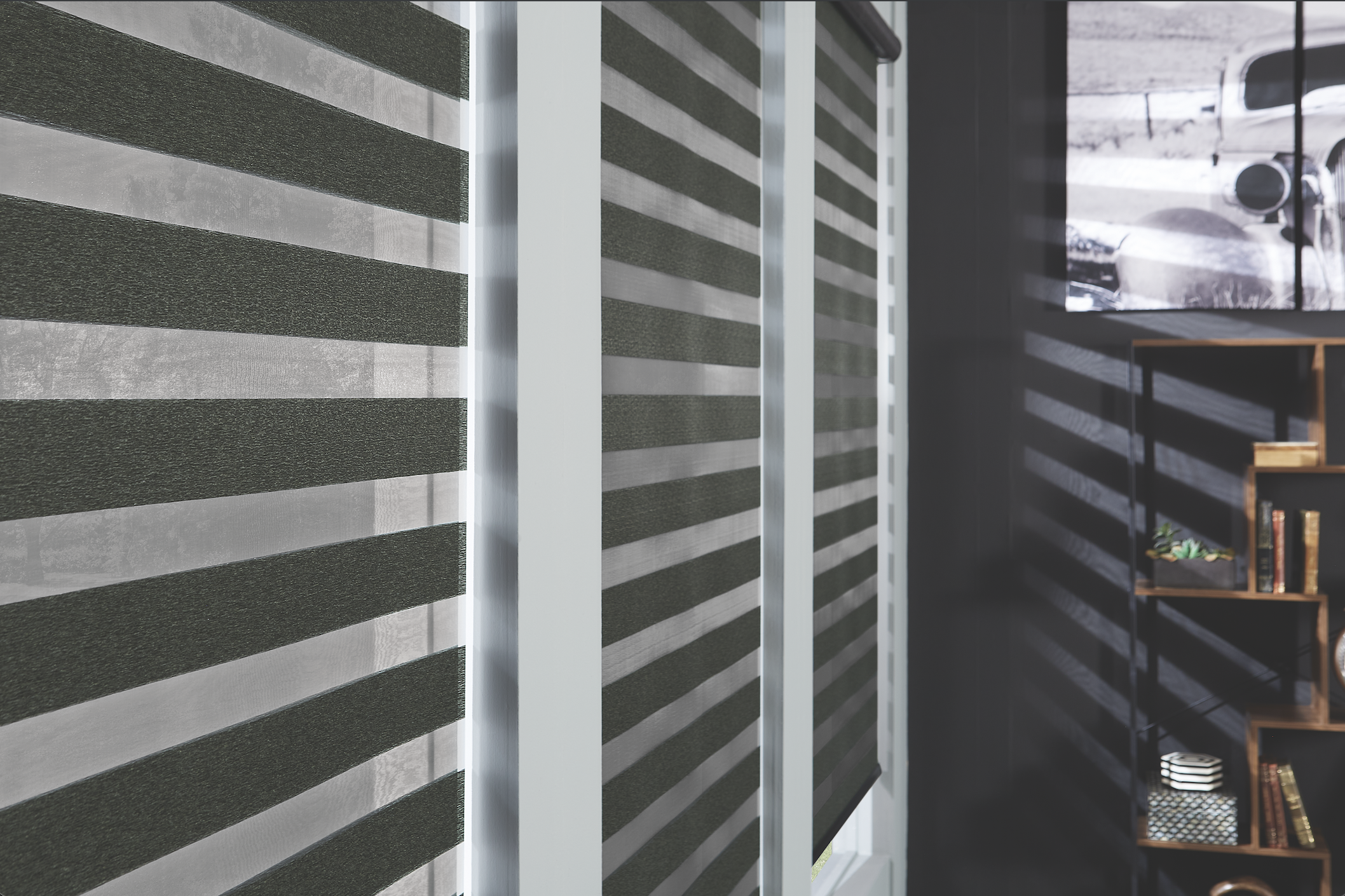 Layered zebra shade, close stripe detail