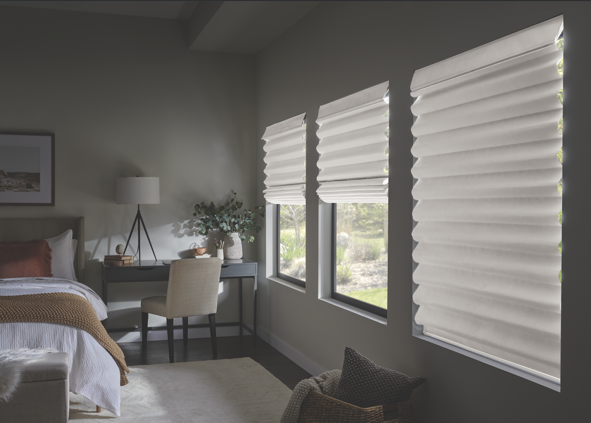 Roman shades in a living room
